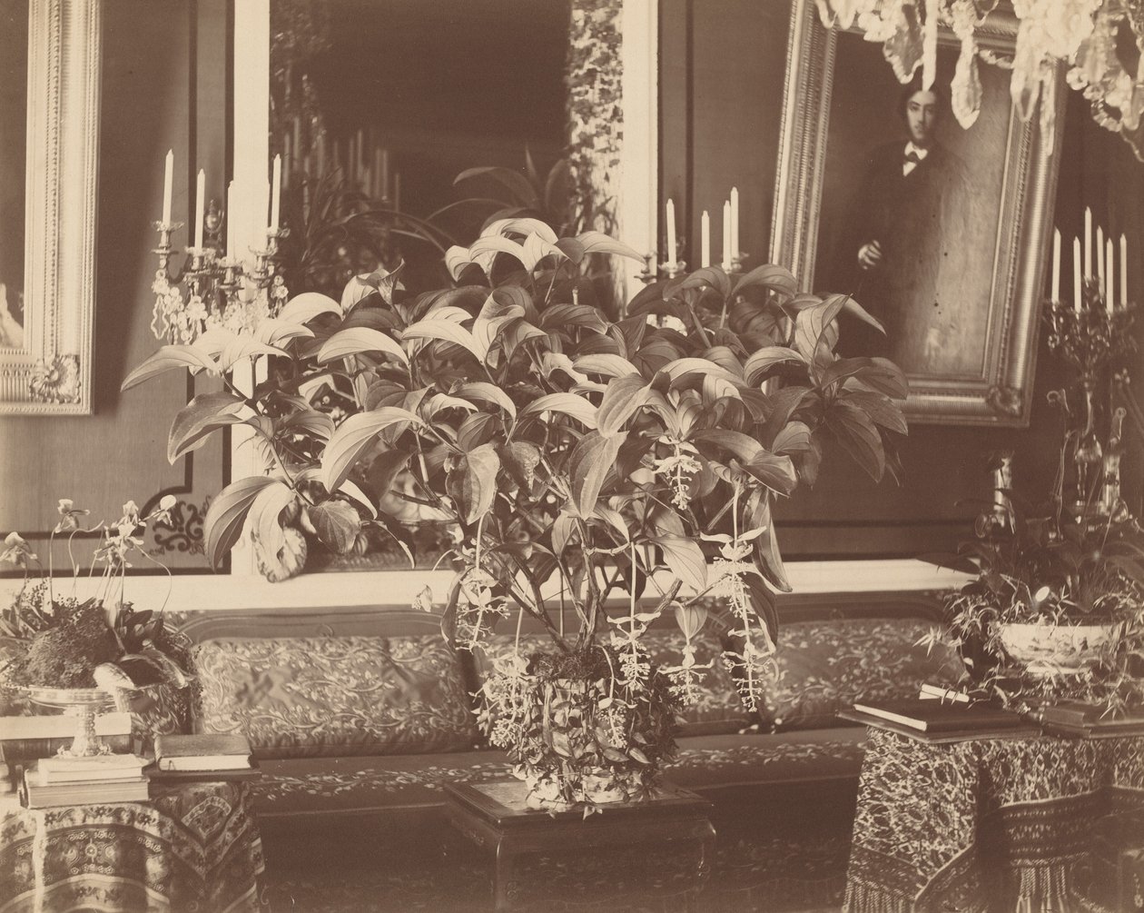 Interior, anos 1860 (foto) de Pierre Ambroise Richebourg