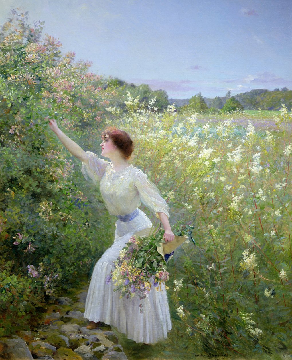 Madressilva selvagem de Pierre Andre Brouillet