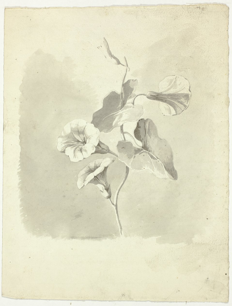 Glórias da manhã de Pierre Antoine Mongin