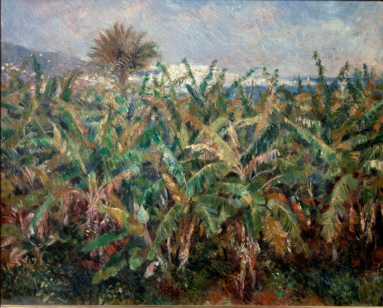 Campo de Bananas de Pierre Auguste Renoir