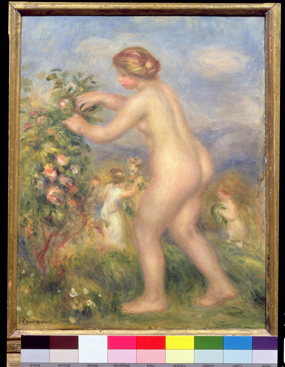 Feminino nu colhendo flores de Pierre Auguste Renoir