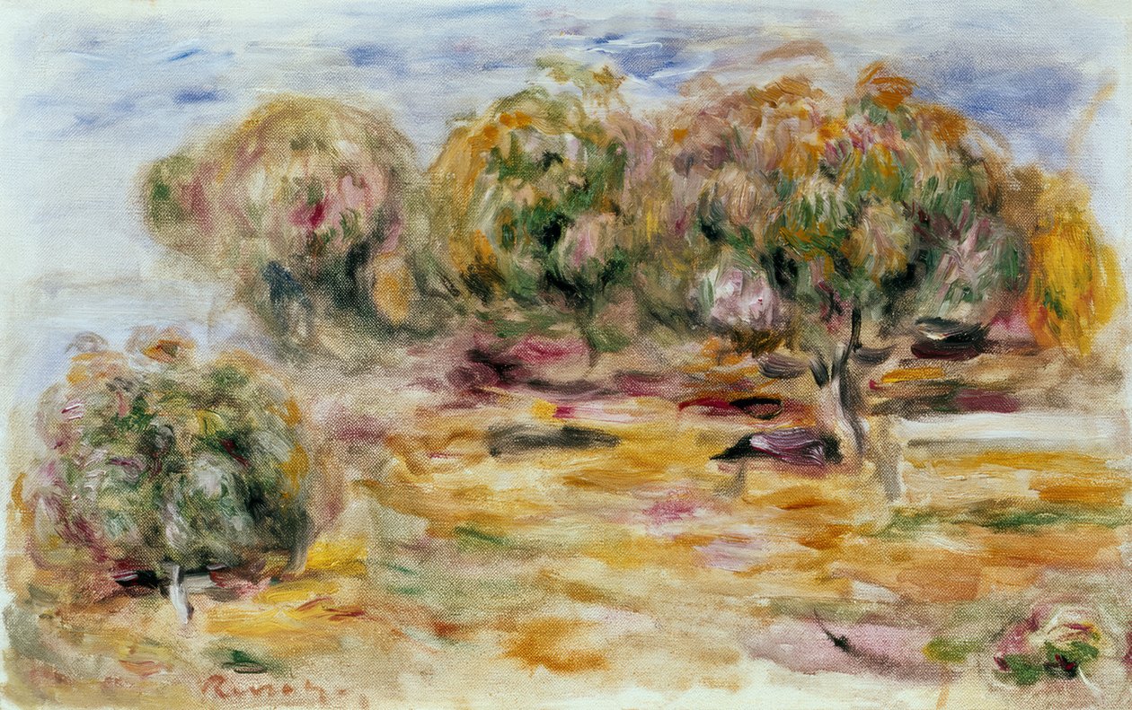 O jardim de Collettes de Pierre Auguste Renoir