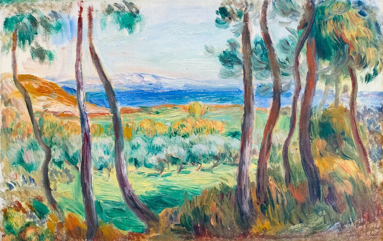 Pinheiros perto de Cagnes, c. 1910 (óleo sobre tela) de Pierre Auguste Renoir