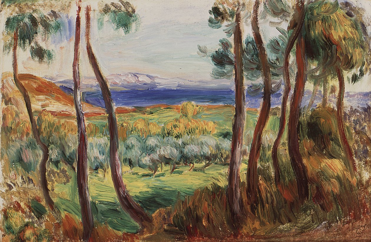 Pinheiros em torno de Cagnes, c. 1910. de Pierre Auguste Renoir