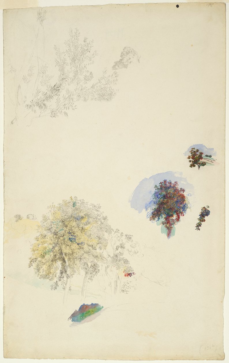 Estudos de árvores e folhagens de Pierre Auguste Renoir