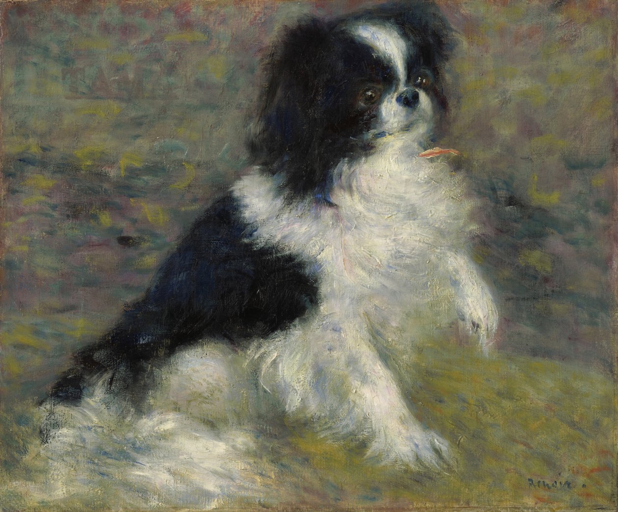 Tama, o cão japonês, c.1876 de Pierre Auguste Renoir