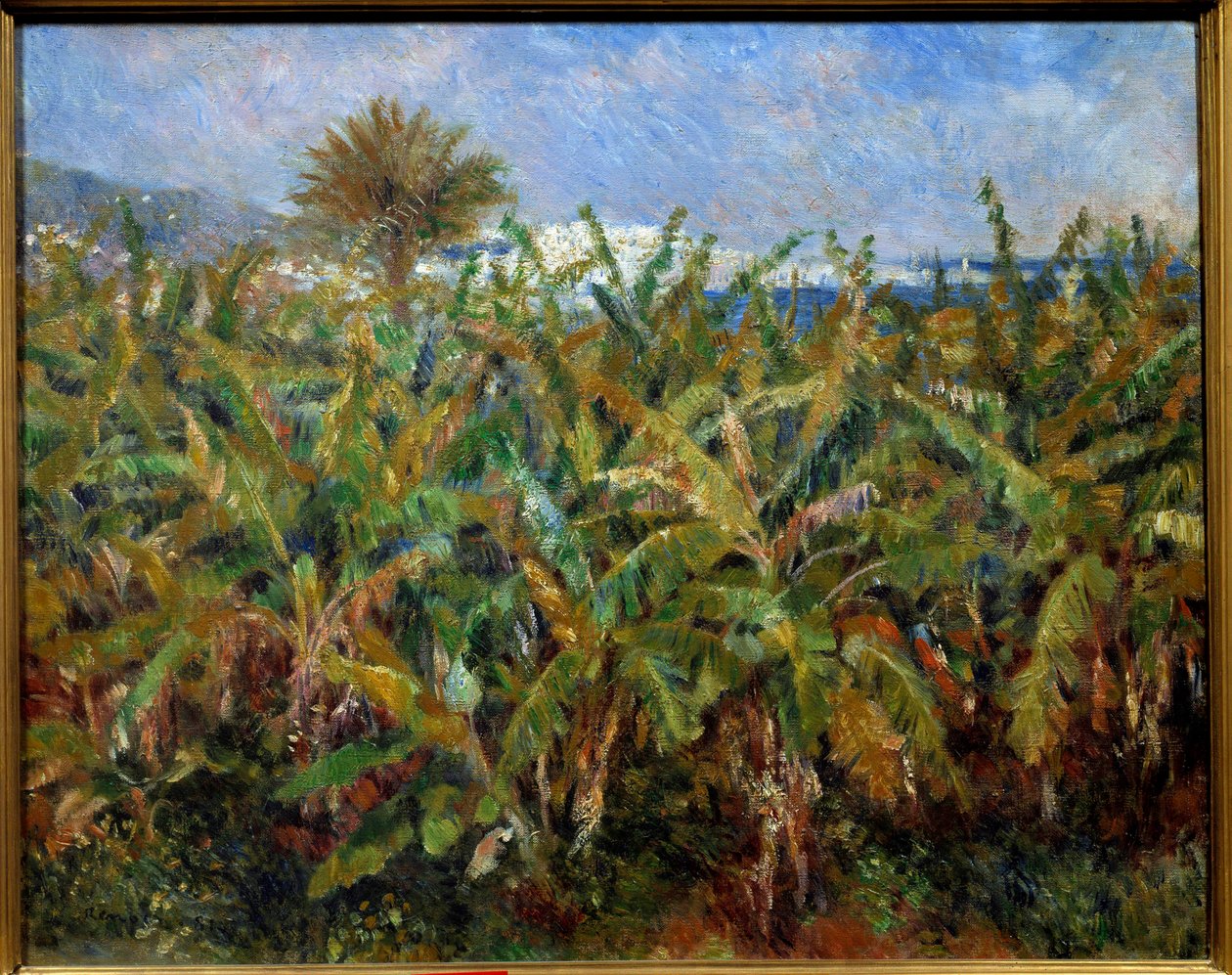 Un champ de bananas Pintura de Pierre Auguste Renoir (1841-1919) 1881 Sol. 0,51x0,63 m Paris, musee d