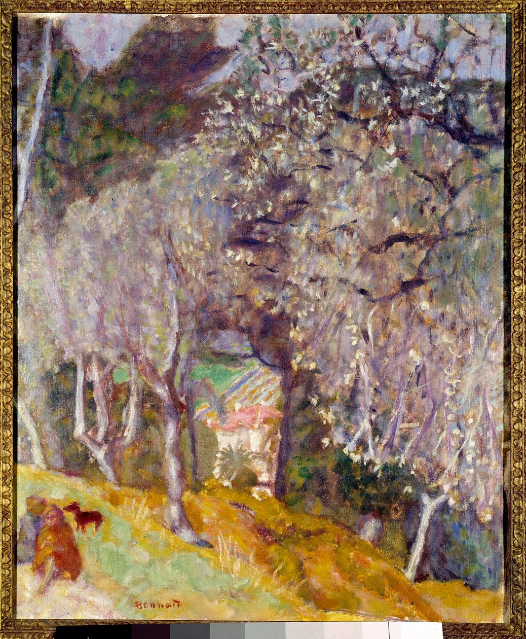 Casa nas Azeitonas de Pierre Bonnard