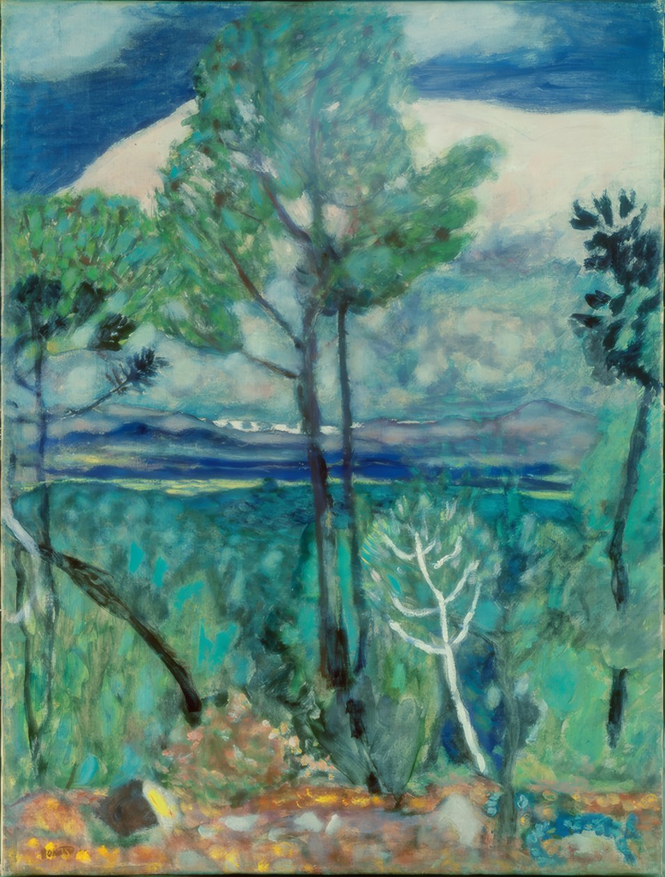 campo de Pierre Bonnard