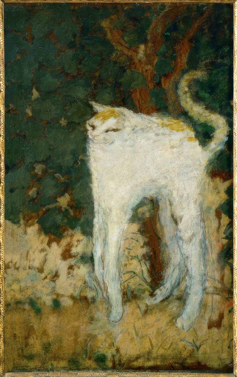 O gato branco de Pierre Bonnard