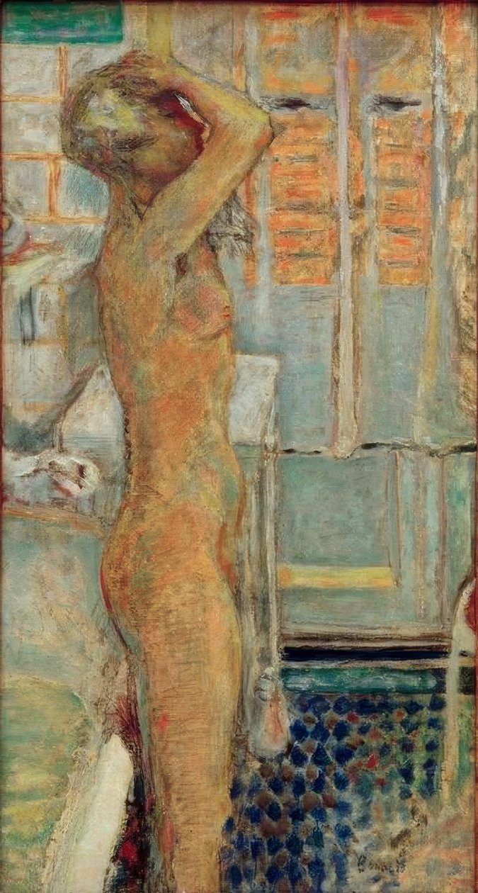 Não cinza no perfil de Pierre Bonnard