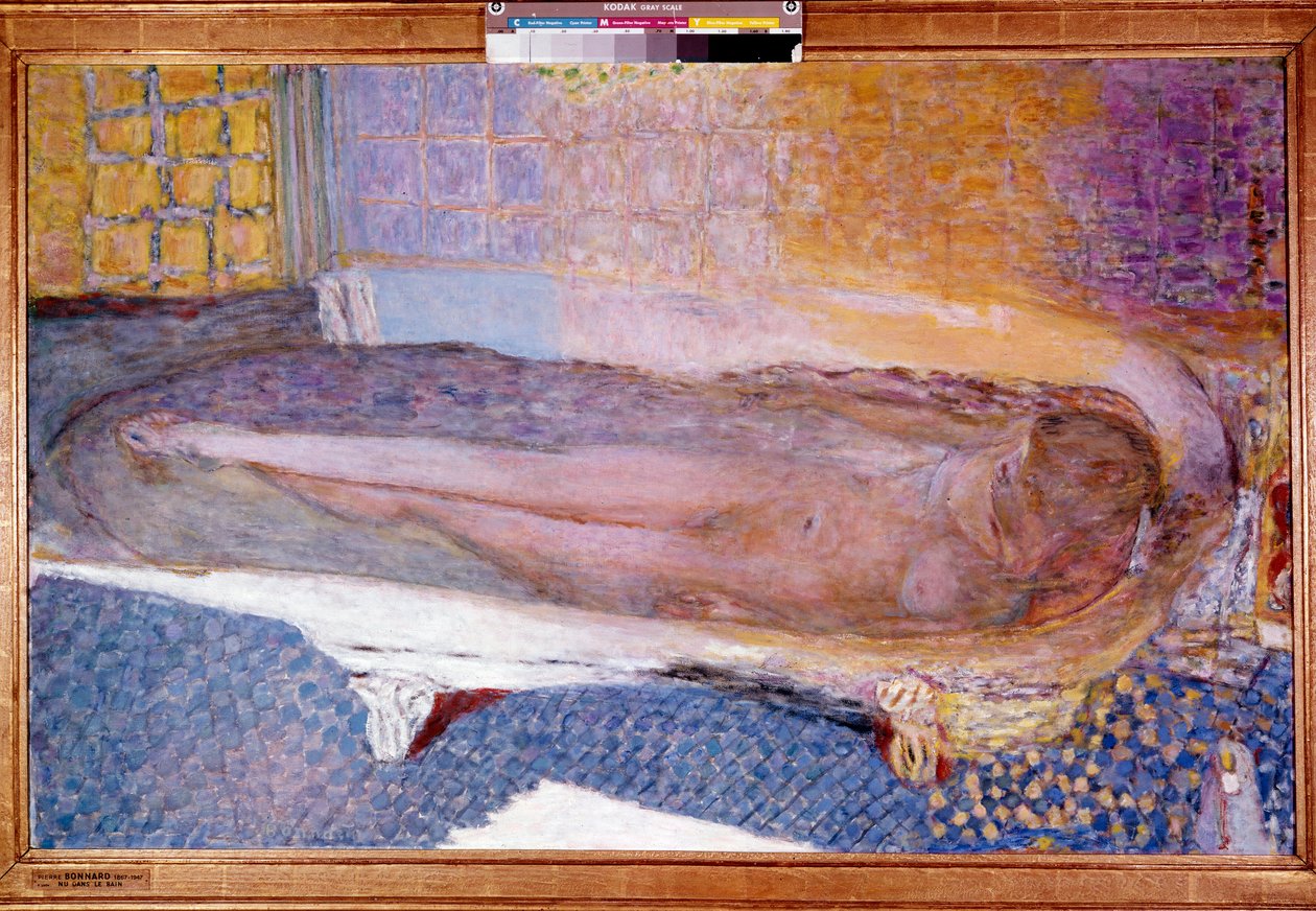 Nu no Banho de Pierre Bonnard