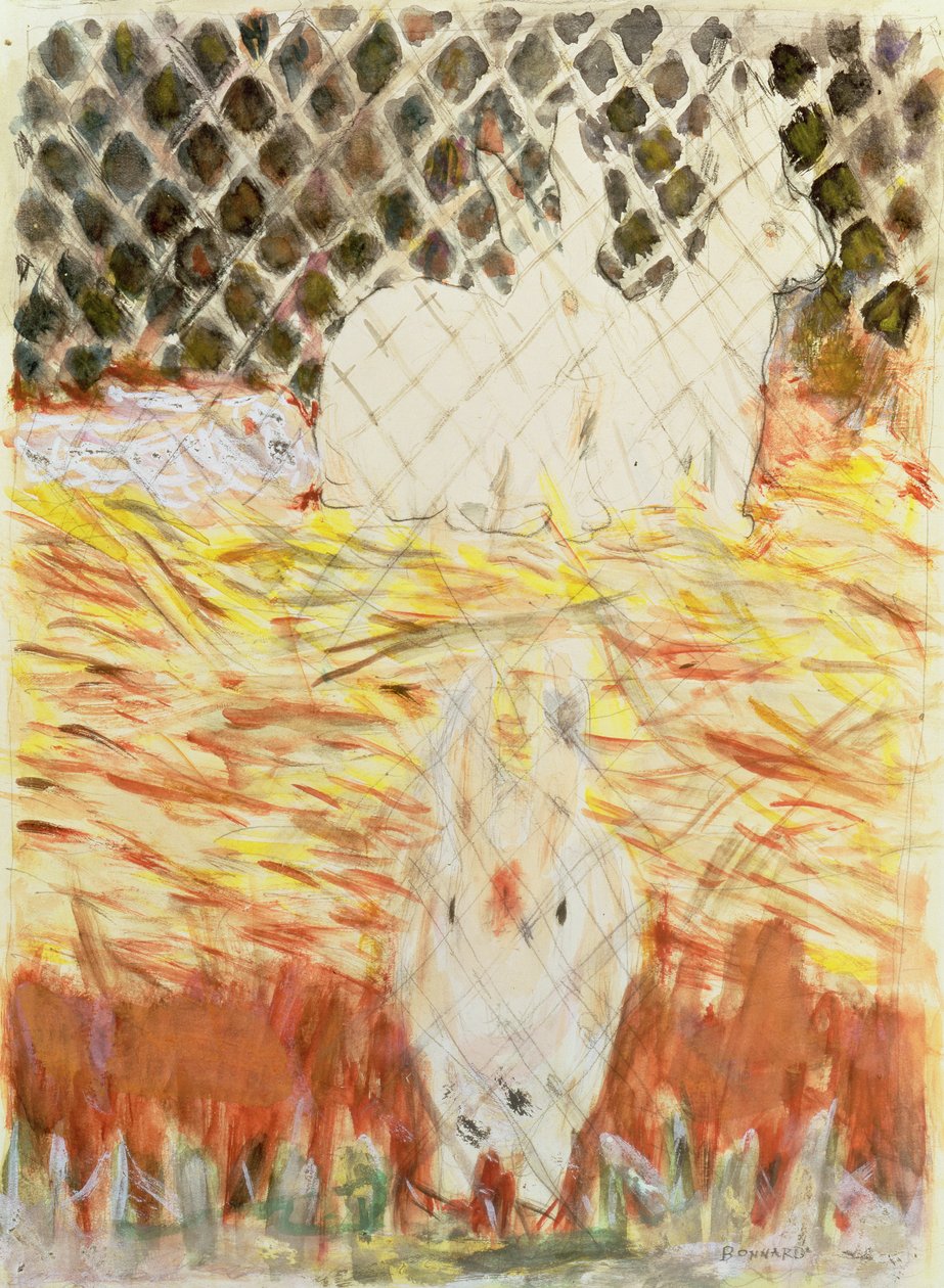Coelhos, c.1930 de Pierre Bonnard