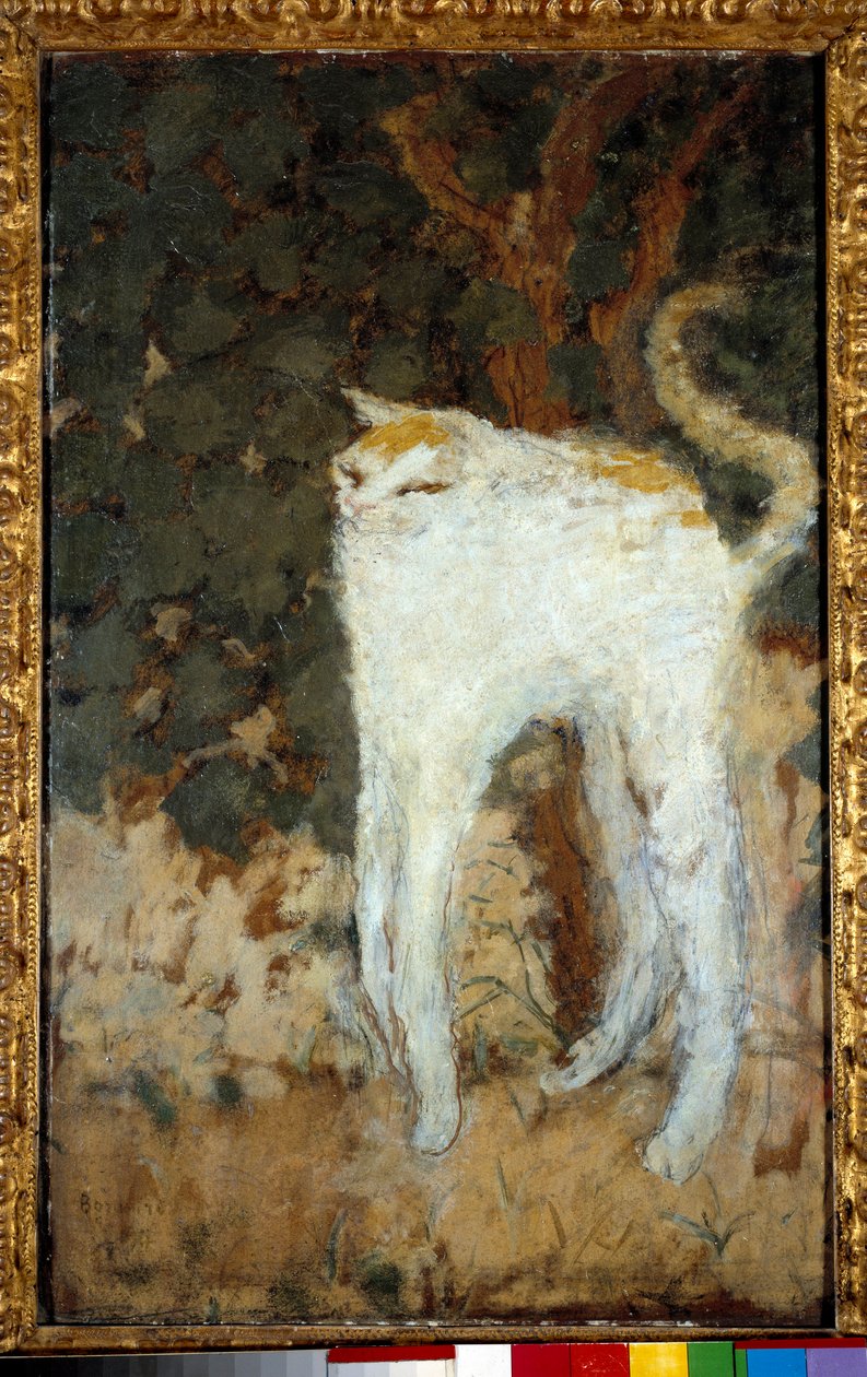 O Gato Branco de Pierre Bonnard