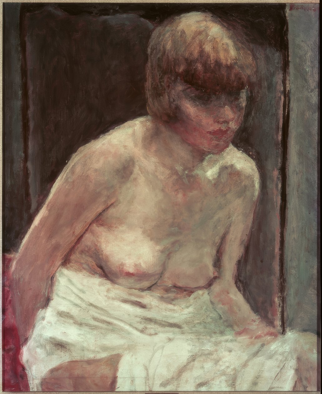 Torso de mulher jovem em roupão branco de Pierre Bonnard