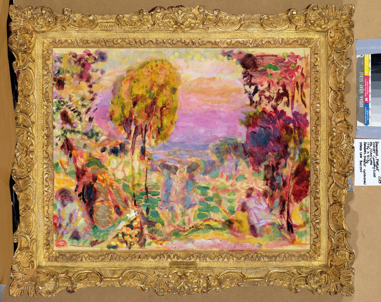 Violet Countryside de Pierre Bonnard