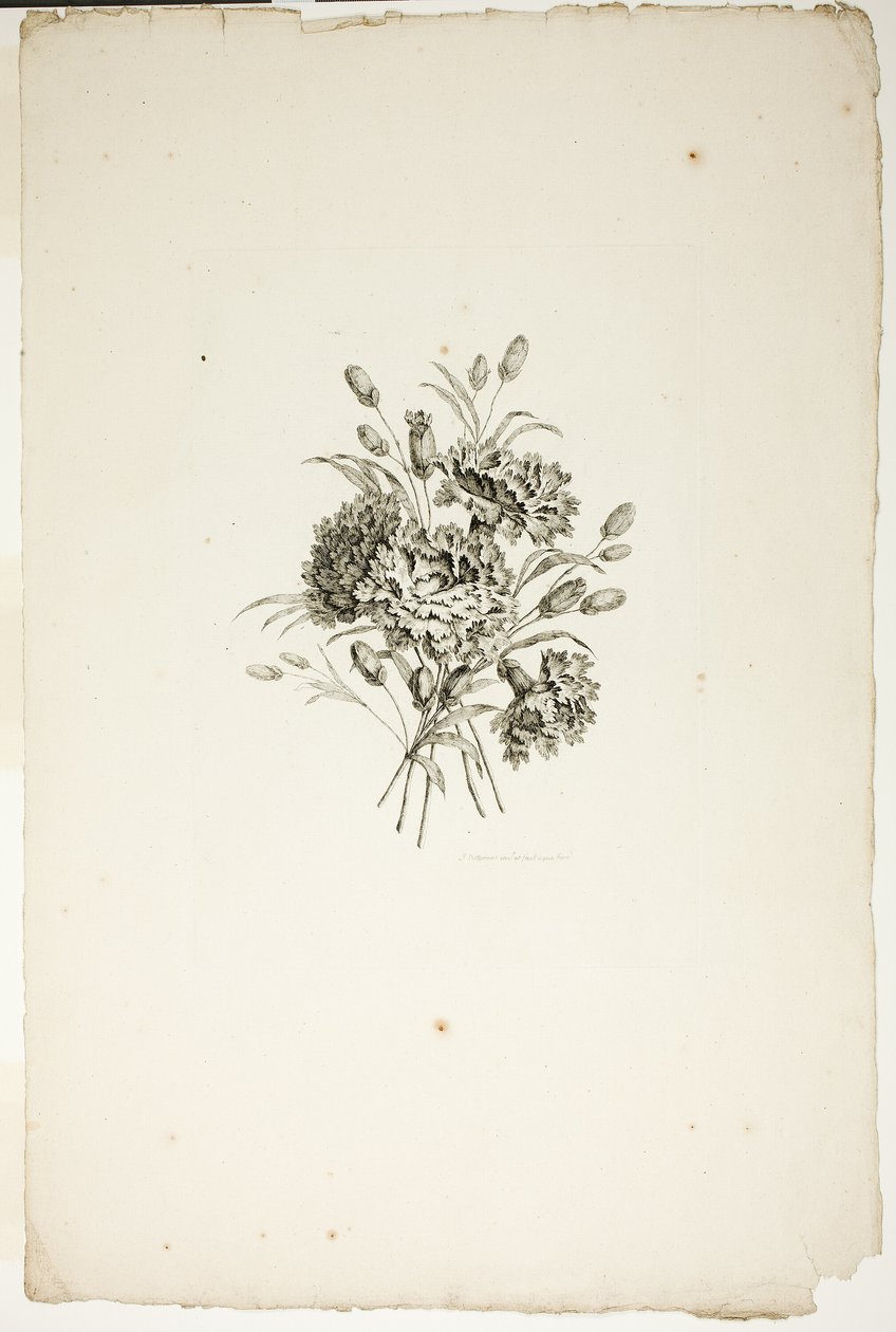 Buquê com Cravos, da Coleção de Diferentes Buquês de Flores, Inventado e Desenhado por Jean Pillement e Gravado por P. C. Canot de Pierre Charles Canot