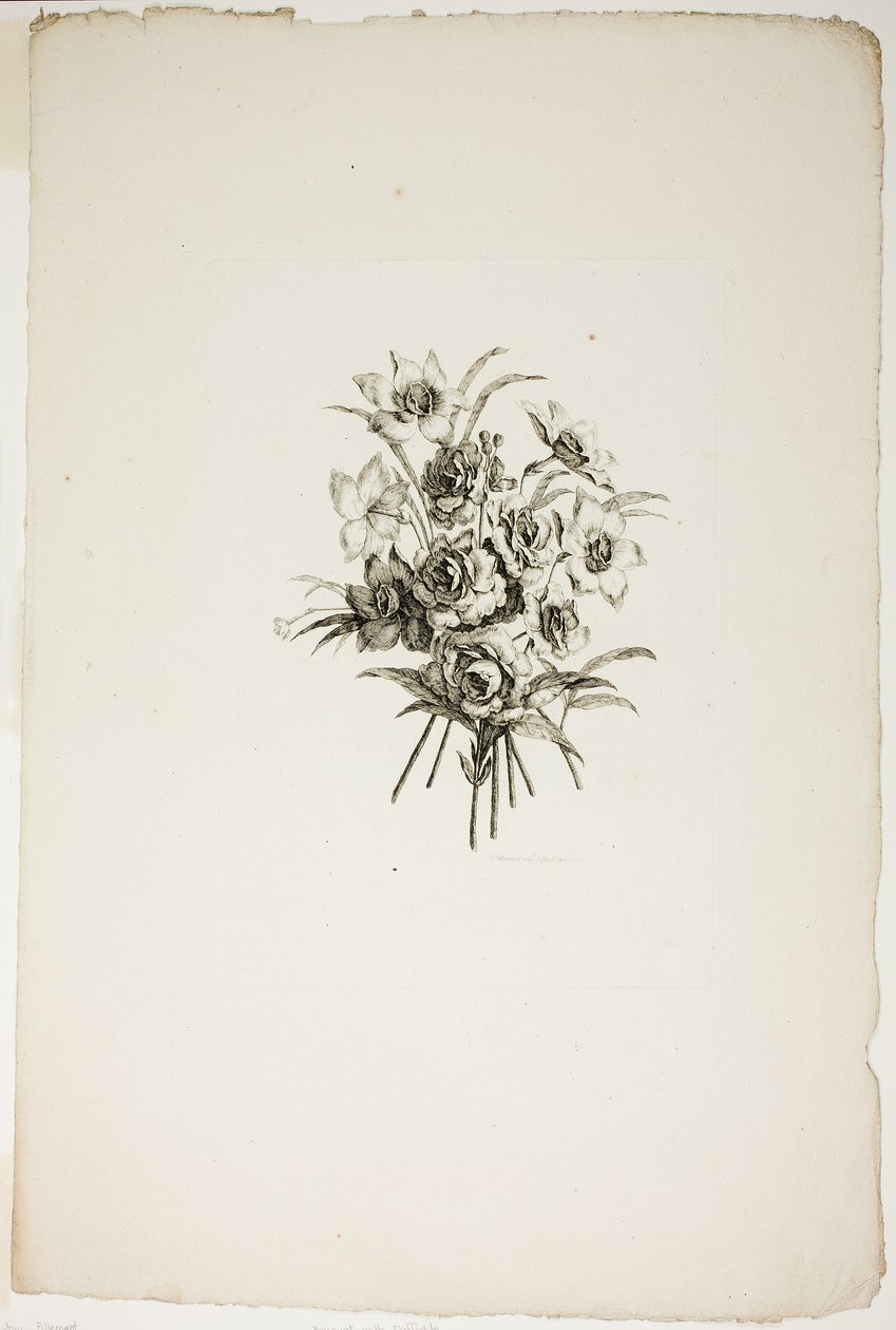 Buquê com Narcisos, da Coleção de Diferentes Buquês de Flores, Inventado e Desenhado por Jean Pillement e Gravado por P. C. Canot de Pierre Charles Canot