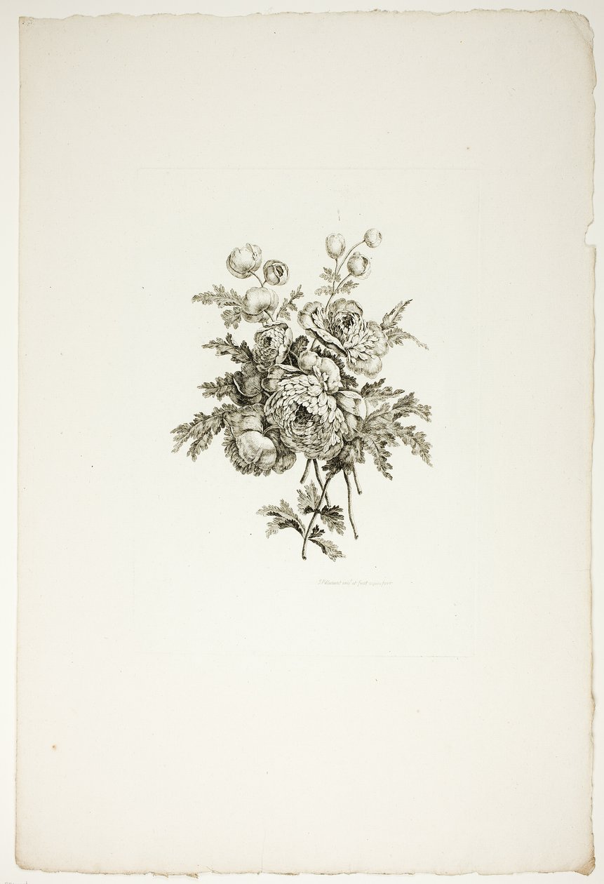 Bouquet com peónias, da coleção de diferentes ramos de flores, inventado e desenhado por Jean Pillement e gravado por P. C. Canot de Pierre Charles Canot
