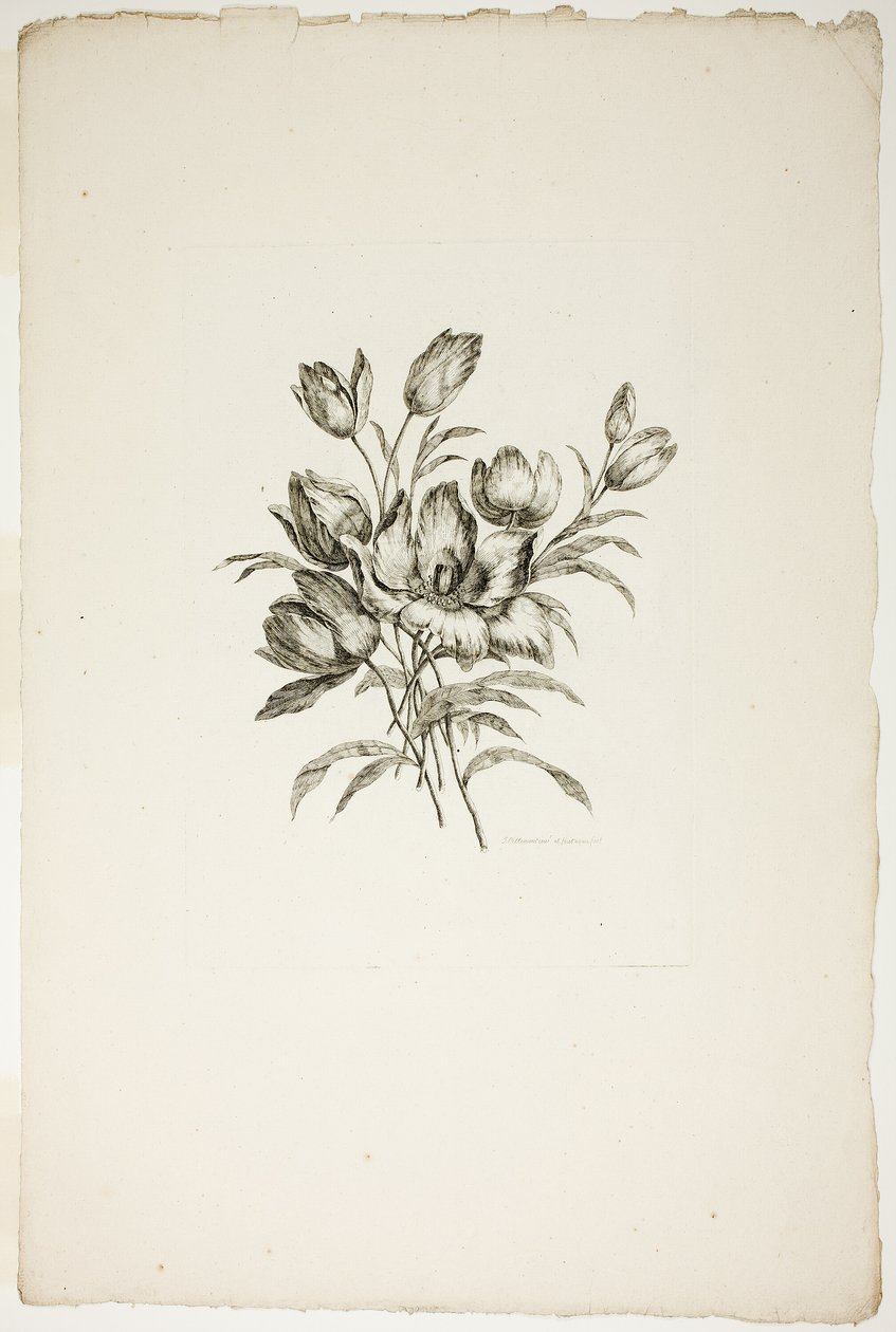 Buquê com Tulipas, da Coleção de Diferentes Buquês de Flores, Inventado e Desenhado por Jean Pillement e gravado por P. C. Canot de Pierre Charles Canot