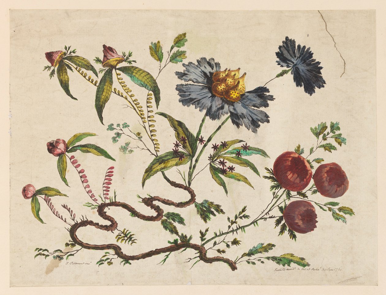 Gravura, Ramos de Flores, de "Recueil de Differentes Fleurs de Fantaisie Dans le Goût Chinois". de Pierre Charles Canot