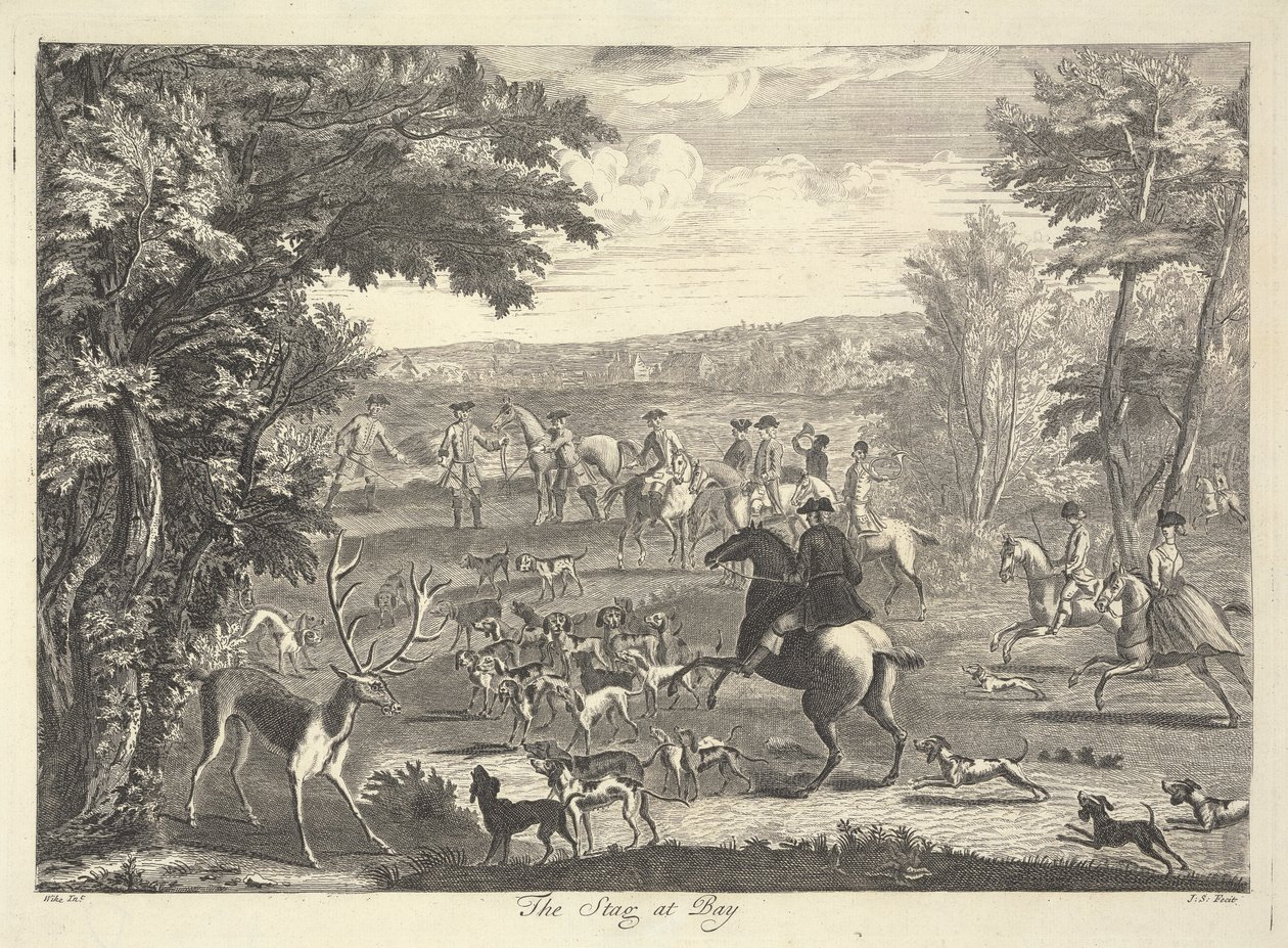 O veado na baía de Pierre Charles Canot