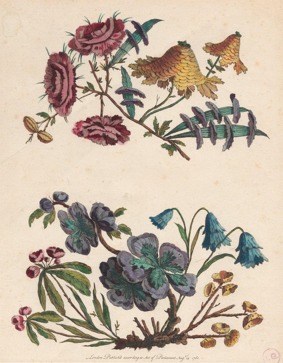 Duas Pinceladas de Flores Imaginárias de Pierre Charles Canot