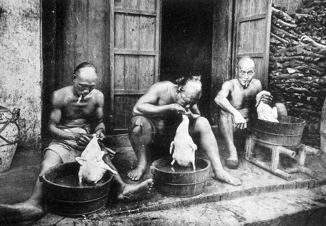 Penas de pato chinesas, "Saigão e arredores", fotógrafo. Dieulefils, c. 1900. de Pierre Dieulefils