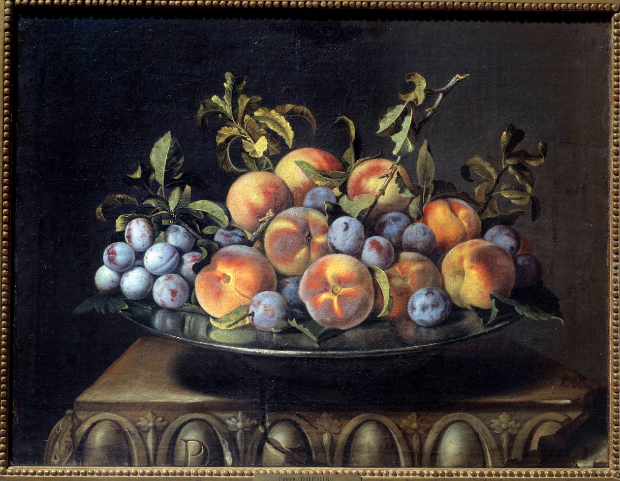 Peches e ameixas numa lata Pintura de Pierre Dupuis (1610-1682) Sol do século XVII. 0,48x0,61 m de Pierre Dupuis