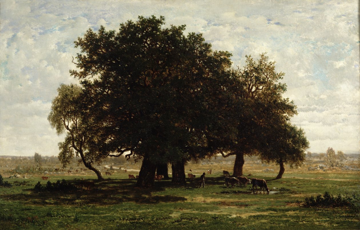 Holm Oaks, Apremont, 1850-52 de Pierre Etienne Theodore Rousseau