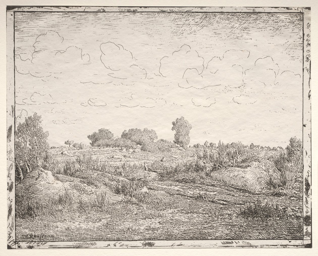 A planície da planta em Biau. de Pierre Etienne Theodore Rousseau
