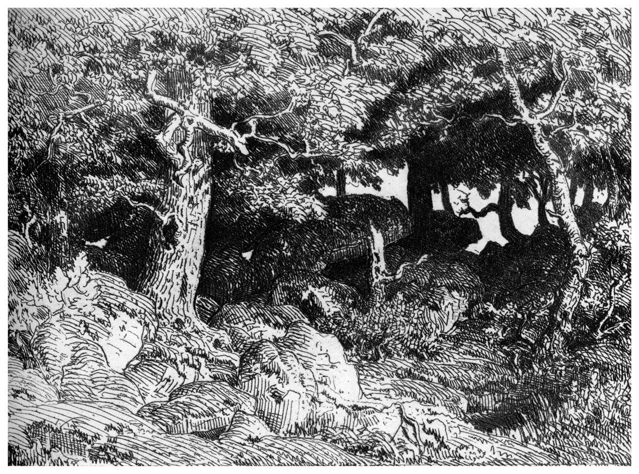 Les Chenes de Roche, c1832-1860, 1924 de Pierre Etienne Theodore Rousseau