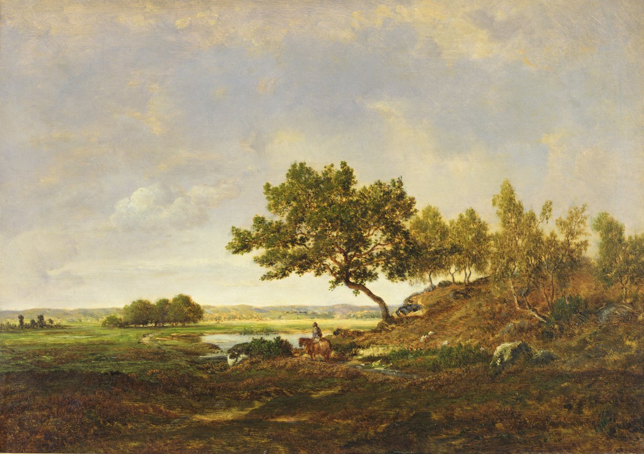 A lagoa no sopé da colina, c.1848-55 (óleo sobre madeira) de Pierre Etienne Theodore Rousseau