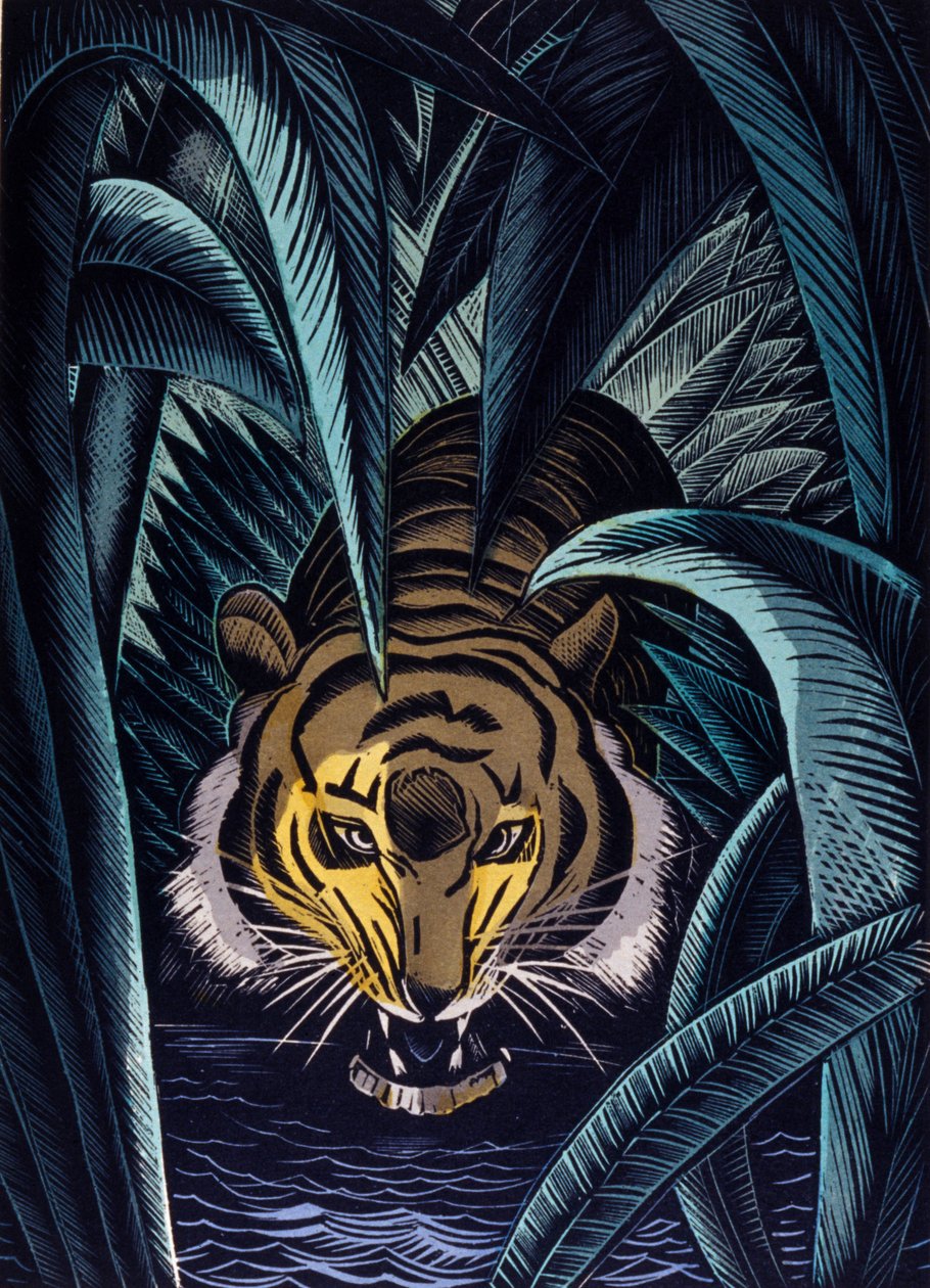 Rudyard Kipling “O Livro da Selva” de Pierre Falke