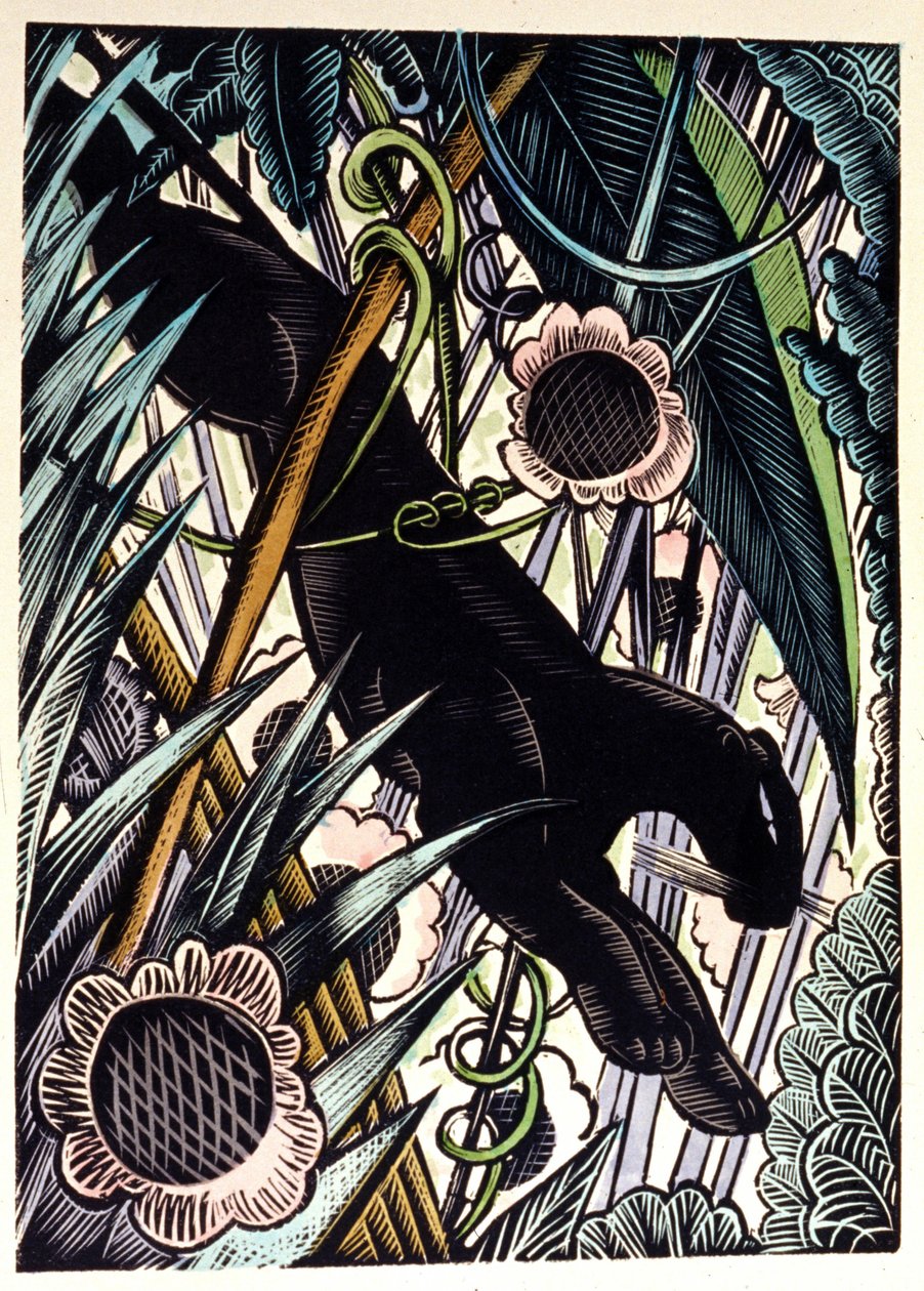 Rudyard Kipling "The Jungle Book" (O Livro da Selva) de Pierre Falke