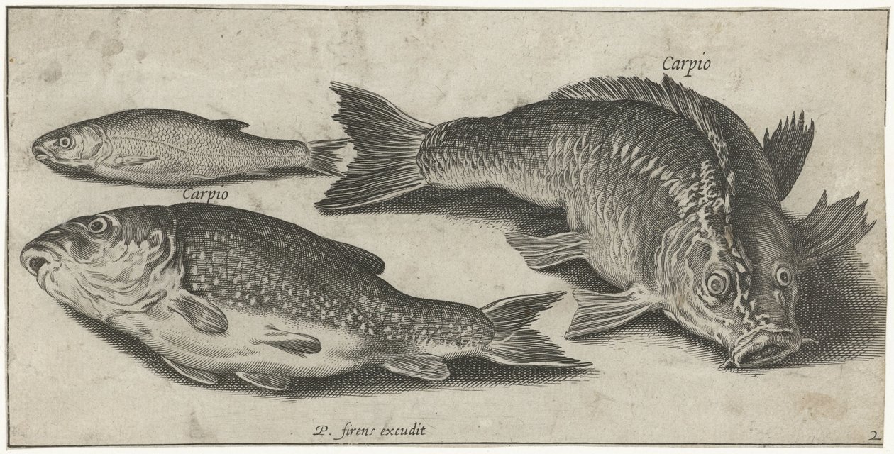 Carregadores de seca
Vissen (título da série)
Piscivm vivae icones (título da série) de Pierre Firens