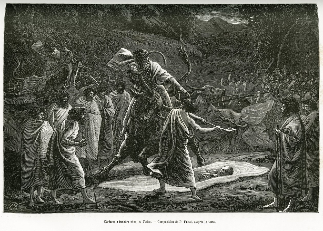 Uma cerimônia fúnebre para o Todas, uma pequena comunidade pastoral no planalto de Nilgiri (Sul da Índia), durante o funeral, o gado é sacrificado. Gravura de P. Fritel, para ilustrar as lembranças de uma viagem aos Nilgherries, de Madame Janssen, em 1 de Pierre Fritel