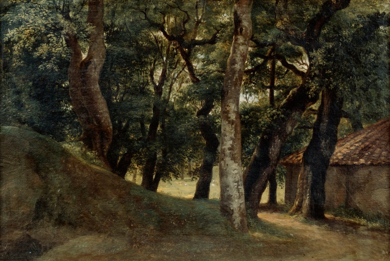 Floresta da Villa Borghese, final do século XVIII e XIX de Pierre Henri de Valenciennes