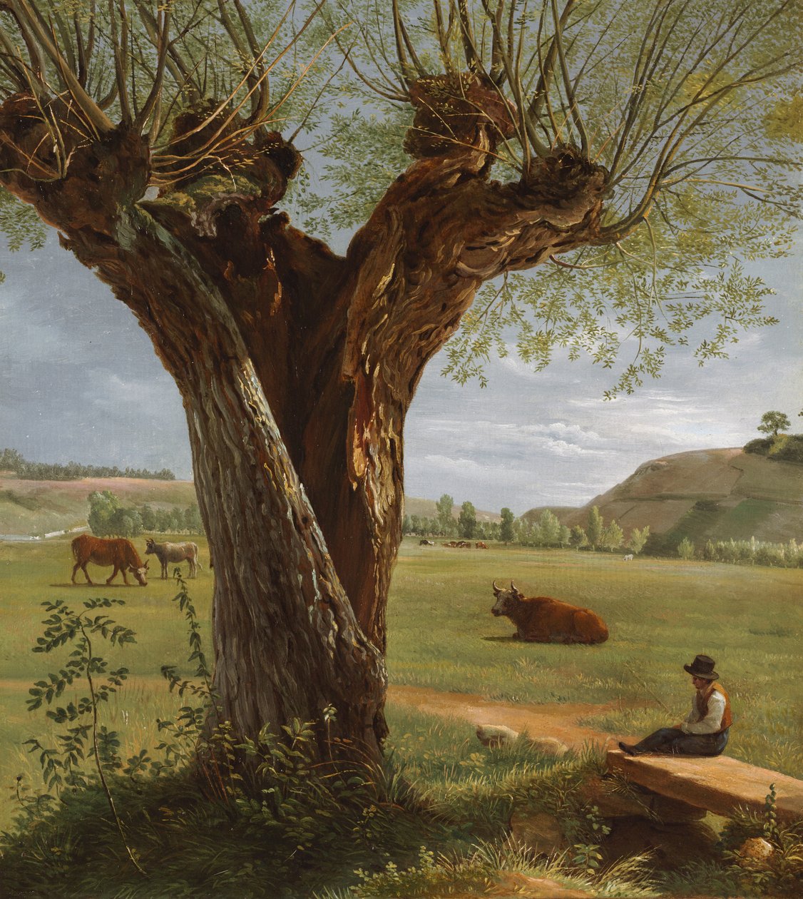 Salgueiro de Pierre Jean Boquet