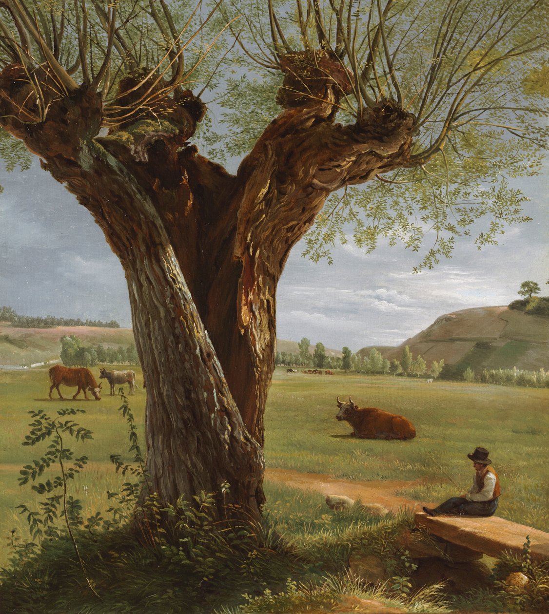 Pollard Willow, depois de 1804. de Pierre Jean Boquet