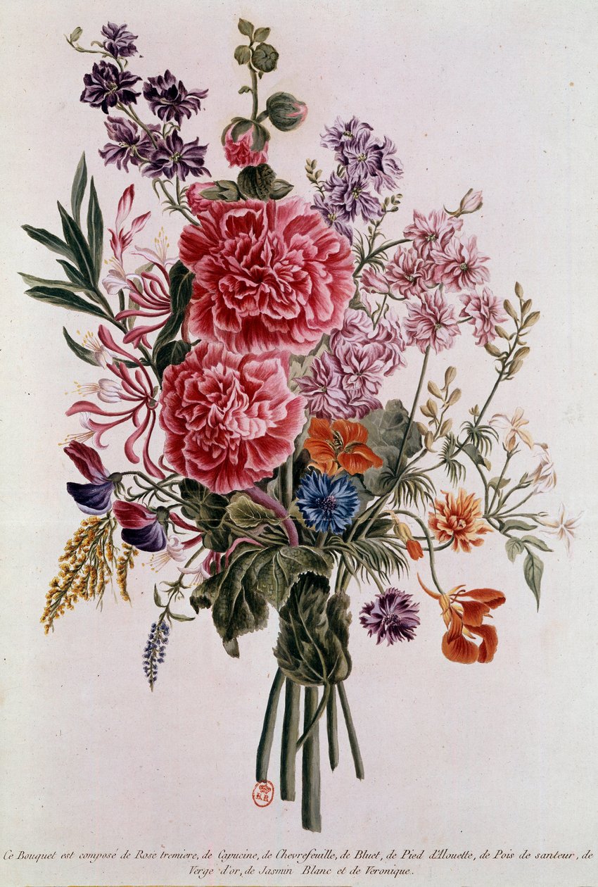 Bouquet composto com rosas Litografia de Pierre Joseph Buchoz (1731-1807) Paris do século XVIII, B.N. de Pierre Joseph Buchoz