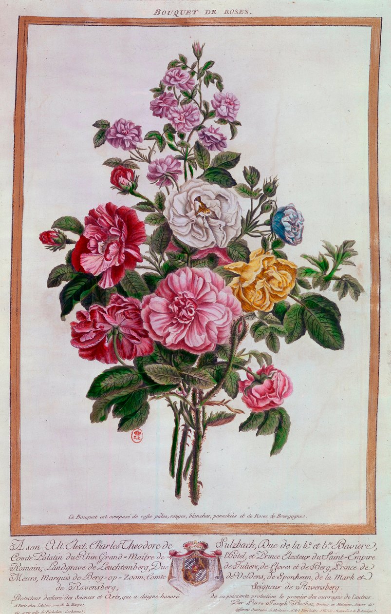 Bouquet de rosas Litografia de Pierre Joseph Buchoz (1731-1807) Paris do século XVIII, B.N. de Pierre Joseph Buchoz