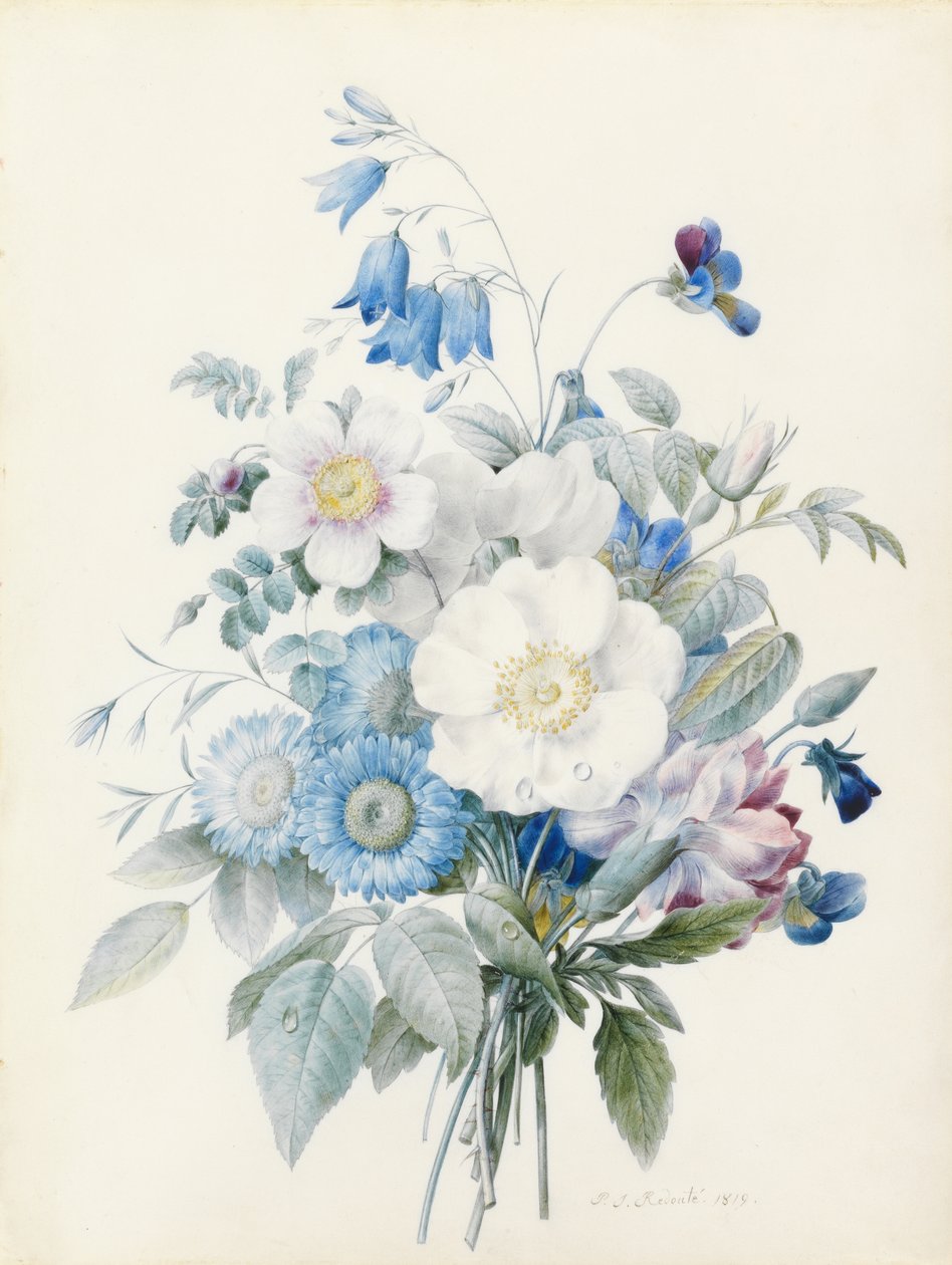 Ásteres azuis, rosa spinosissima (híbrida), campainha, violas, cravos e uma rosa selvagem de Pierre Joseph Redouté