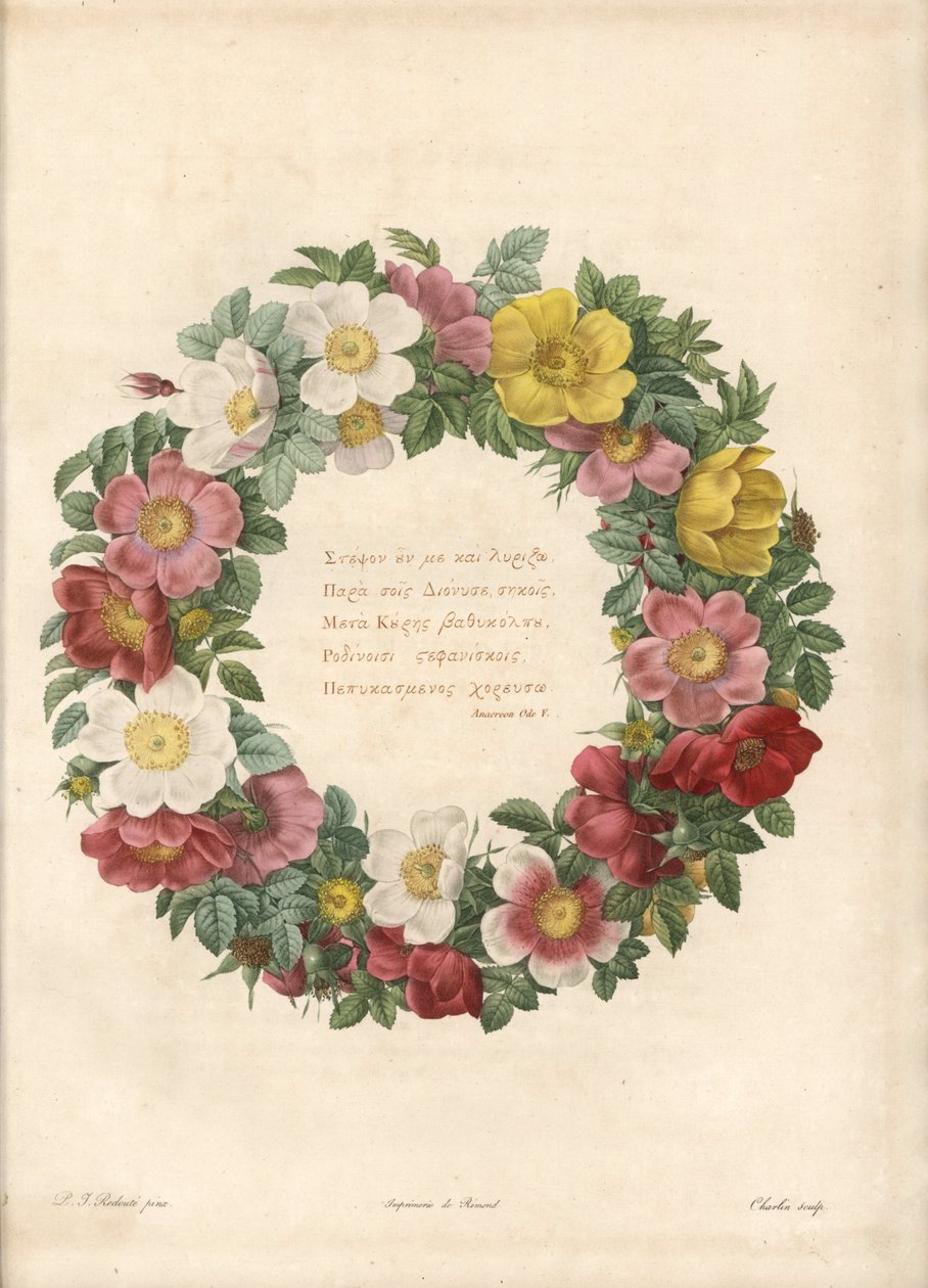 Coroa de rosas com um lema grego - Eau forte de Charlin, depois de uma ilustração de Pierre Joseph Redoute (1759-1840), de Les Roses de Pierre Joseph Redouté