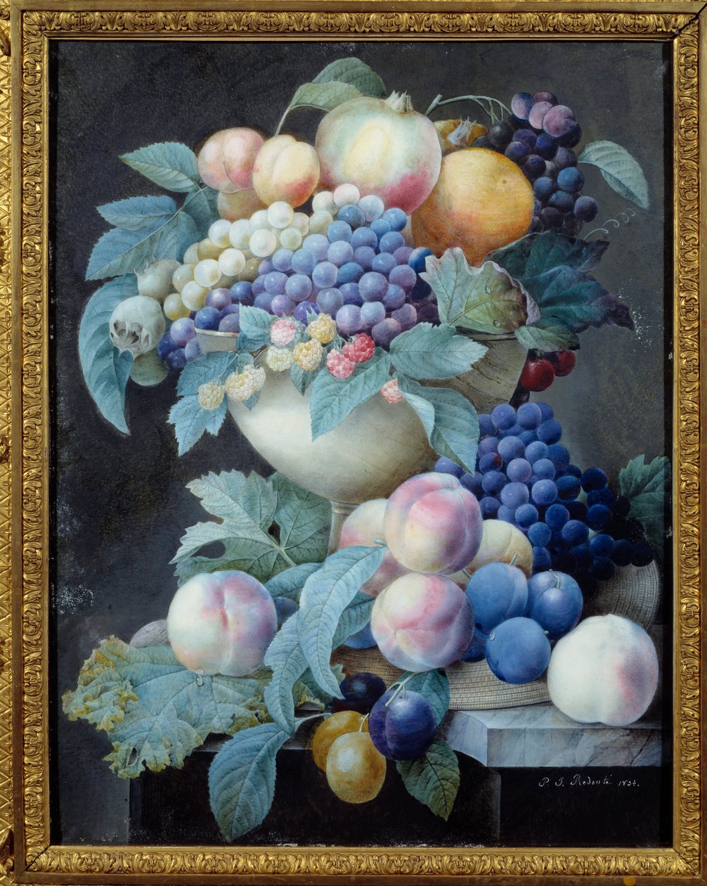 Uvas num copo. Pintura de Pierre Joseph Redoute (1759-1840) de Pierre Joseph Redouté