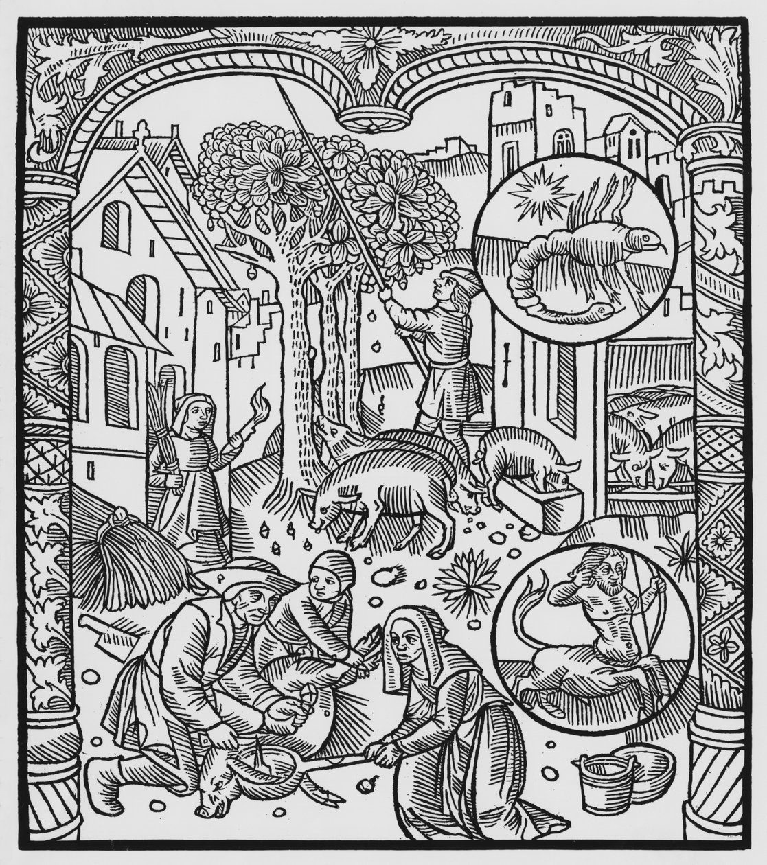 Novembro, matando o porco e colhendo bolotas, Escorpião, ilustração do &39;Almanach des Bergers&39;, 1491 (xylograph) de Pierre Le Rouge