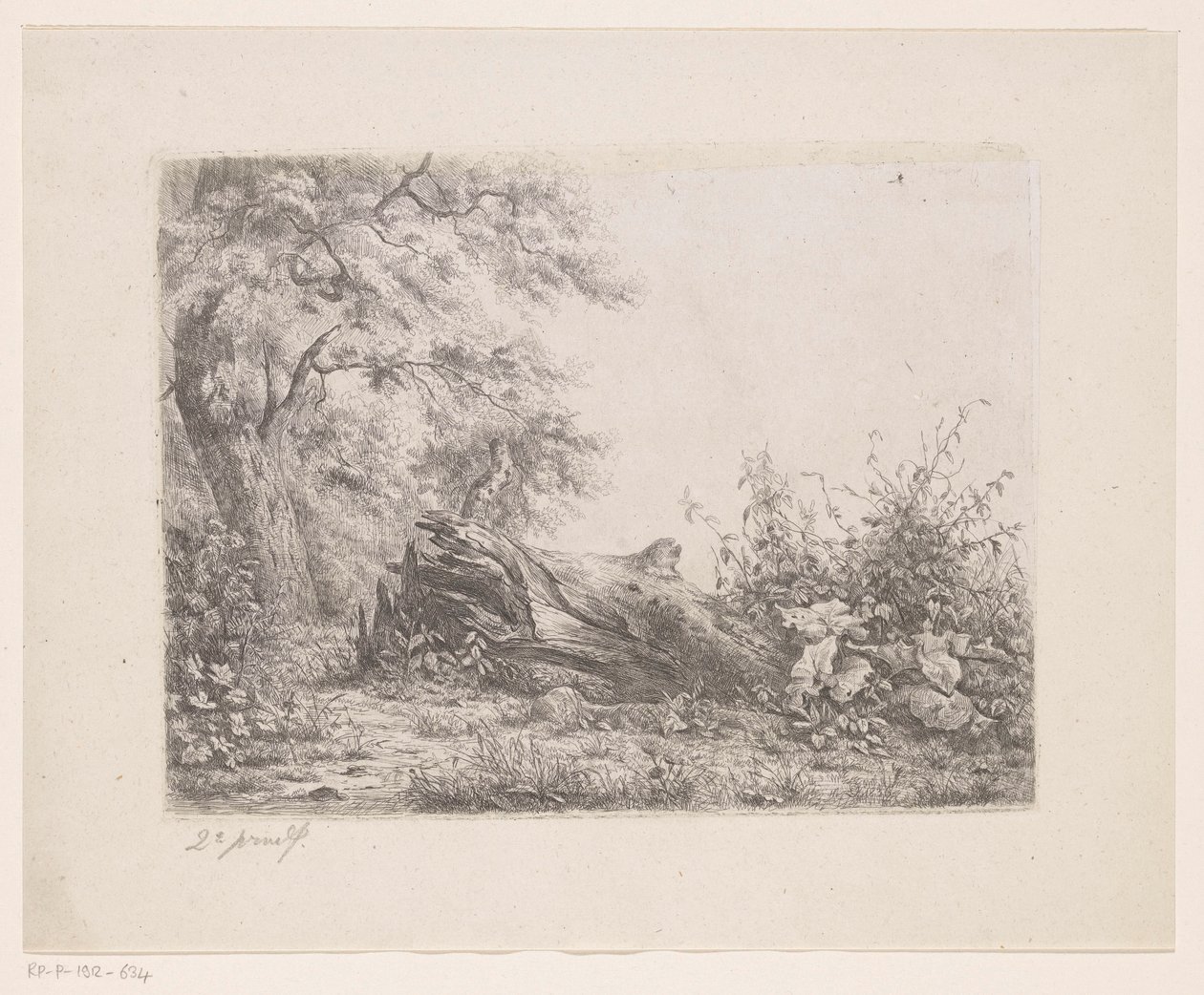 Árvore caída na borda de uma floresta
Cinco provas de gravura (título da série) de Pierre Louis Dubourcq