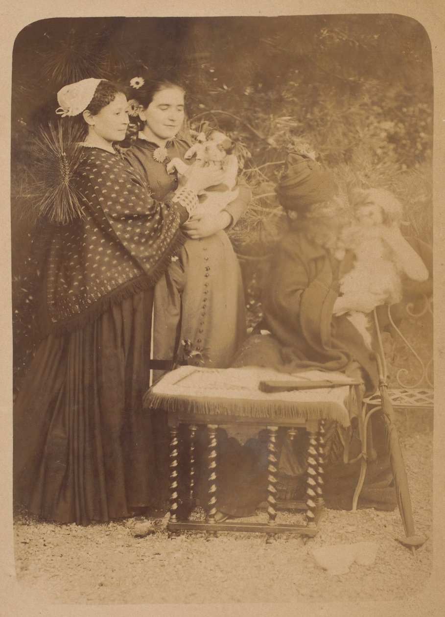Os Cães, década de 1860. de Pierre Louis Pierson