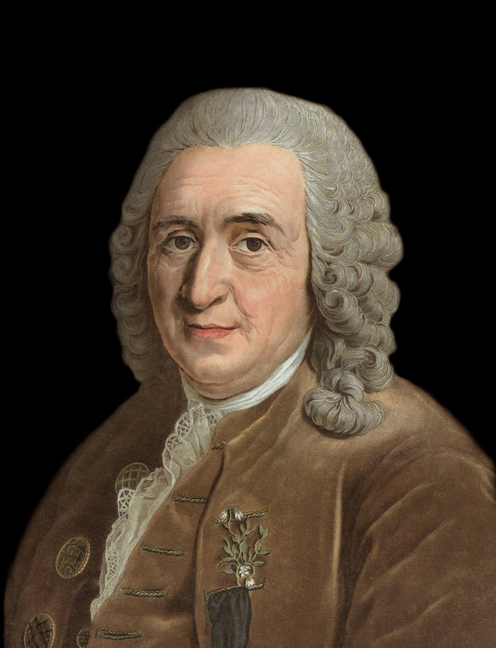 Retrato de Charles Linne (Carl von Linne, Linneus 1707 - 1778), naturalista sueco - Gravura de Pierre Michel Alix (1762-1817) de Pierre Michel Alix