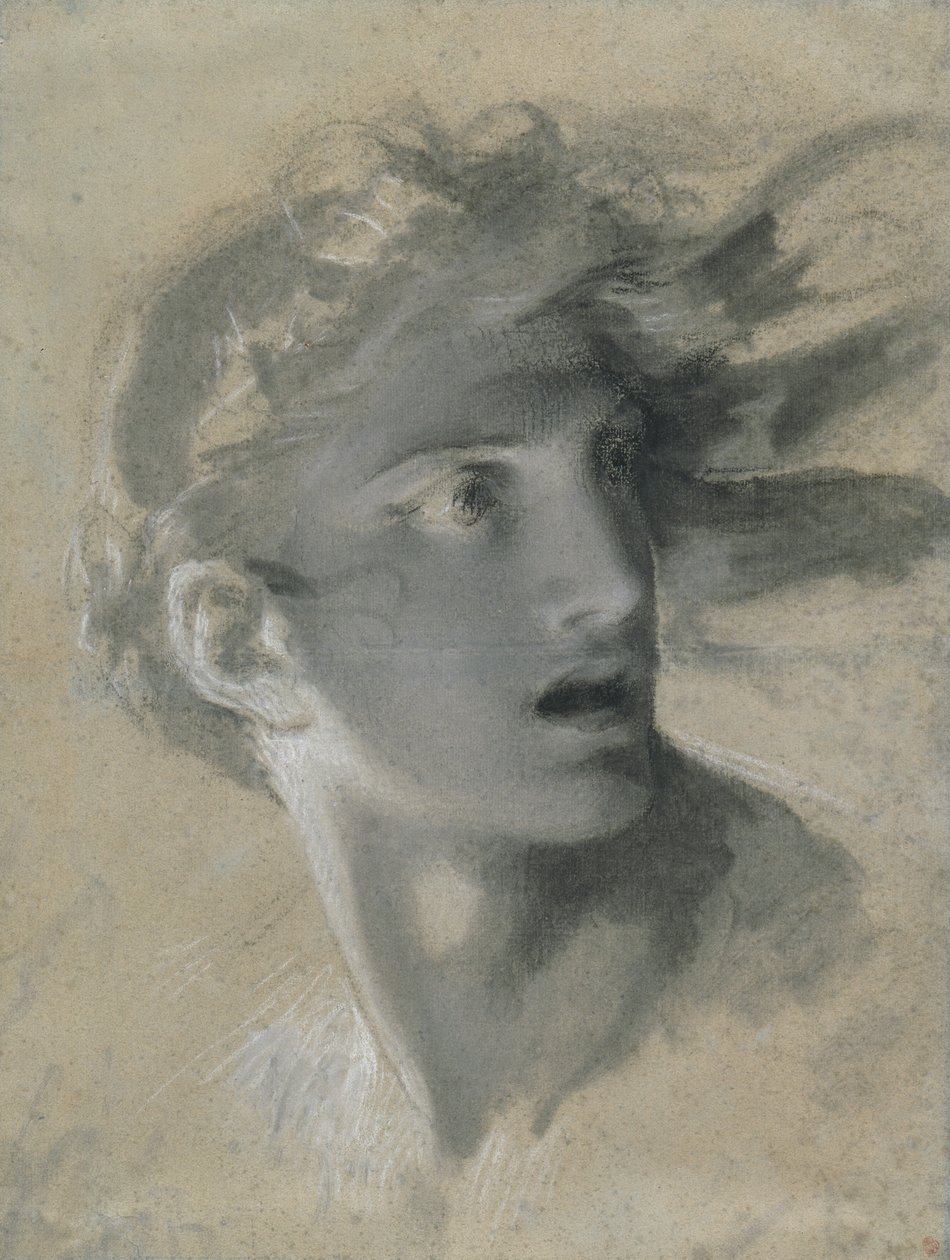 Cabeça de Vingança de Pierre Paul Prud
